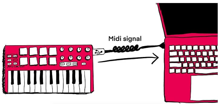 midi